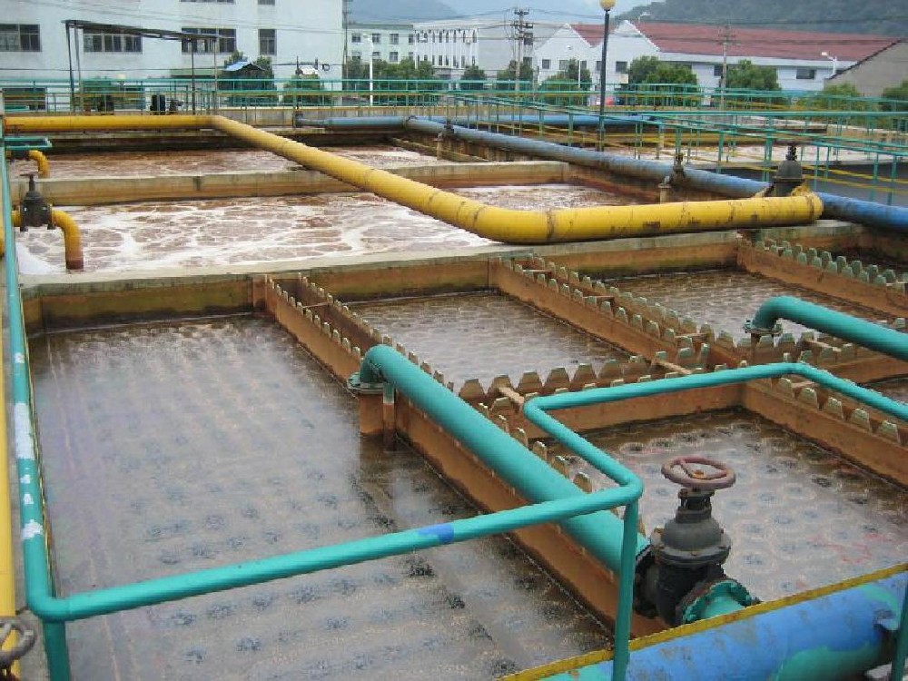生姜加工廠清洗污水處理設(shè)備