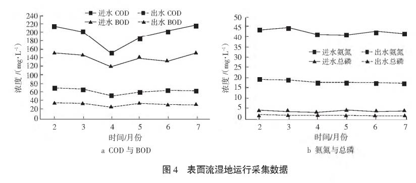 農(nóng)村污水綜合治理人工濕地技術(shù)
