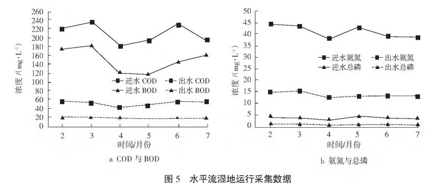 農(nóng)村污水綜合治理人工濕地技術(shù)