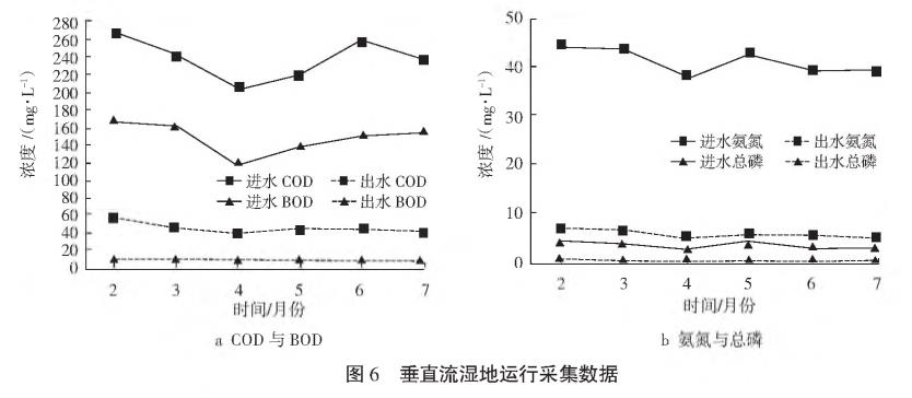 農(nóng)村污水綜合治理人工濕地技術(shù)